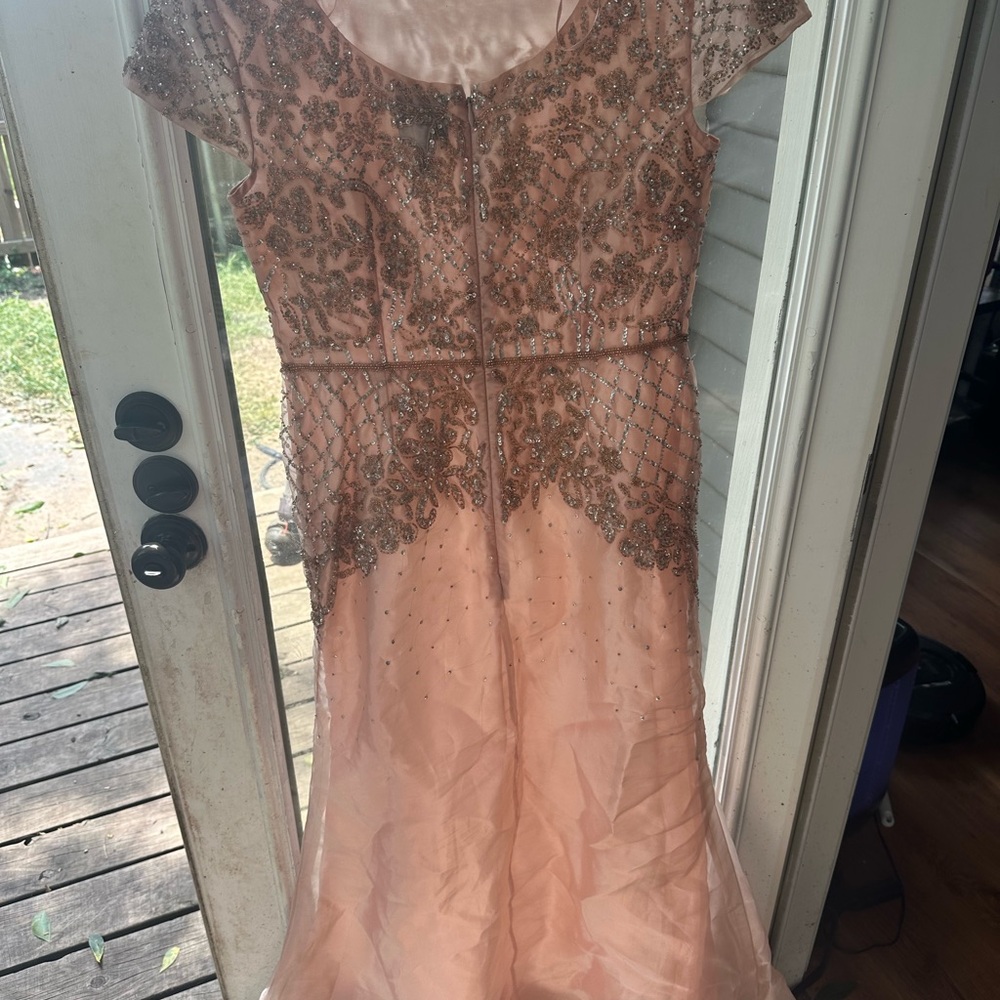 Adrianna Papell Sequine Blush Dress